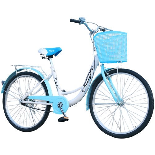 Classic Style Korean Style City Bike Bicycle 24 inch, Dual Seat