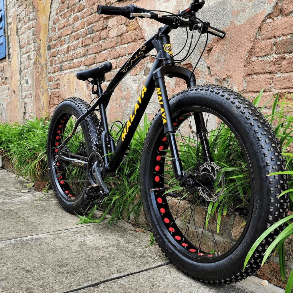 SHIMANO Fat Bike Bicycle Basikal 21 speed (2021)