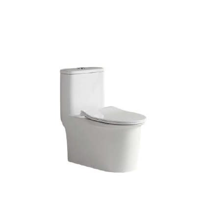 Torino WC 1025 One Piece - Siphonic - Water Closet 300mm 12 Inch S-Trap Toilet Bowl