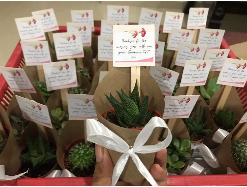 Cactus with Succulent Paper Wrap