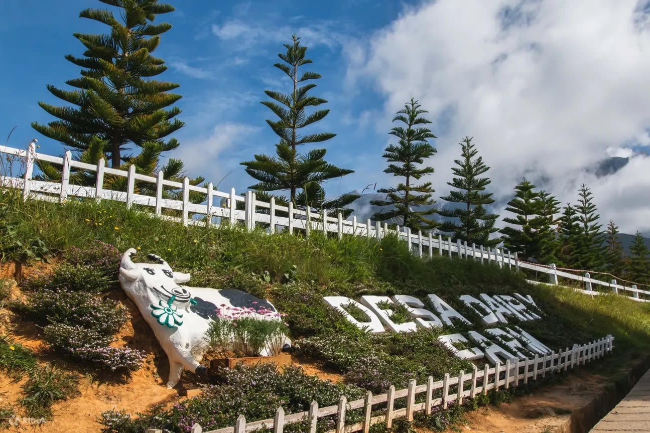 Mt Kinabalu Farm Day Tour