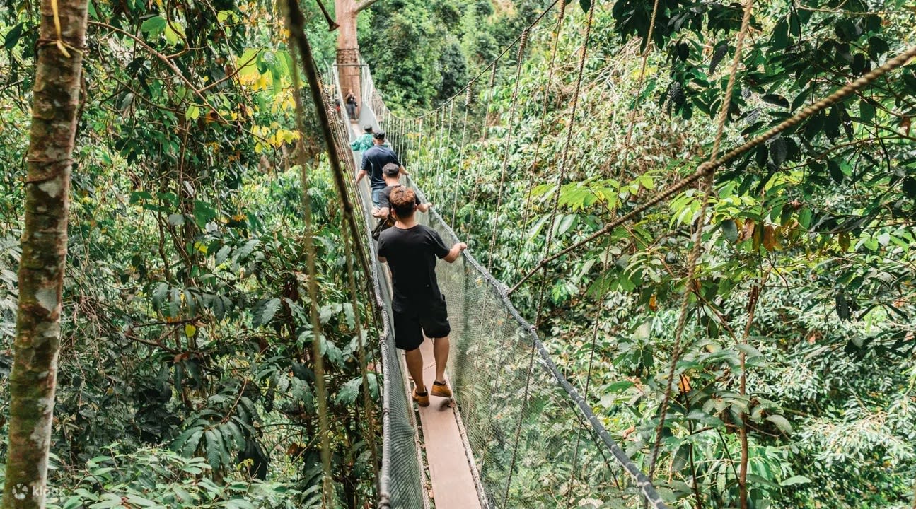 Kinabalu Park & Poring Hot Spring