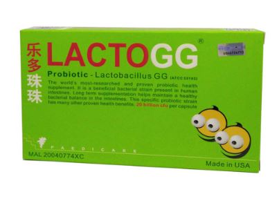 lacto gg prebiotik