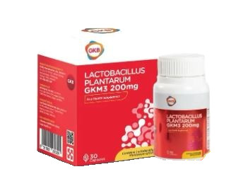 gkb_lactobacilius