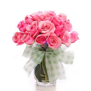 Bunga ros merah jambu yang segar