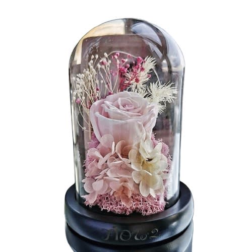 Preserved Dried Flowers