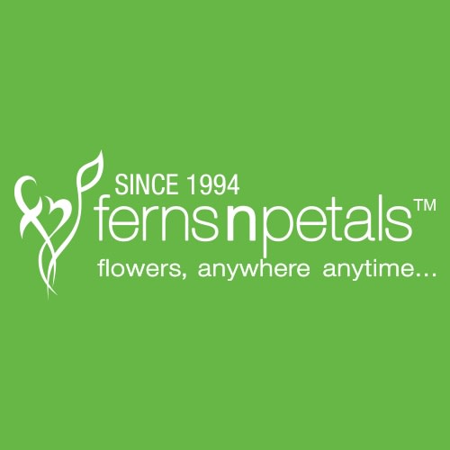 Ferns and Petals