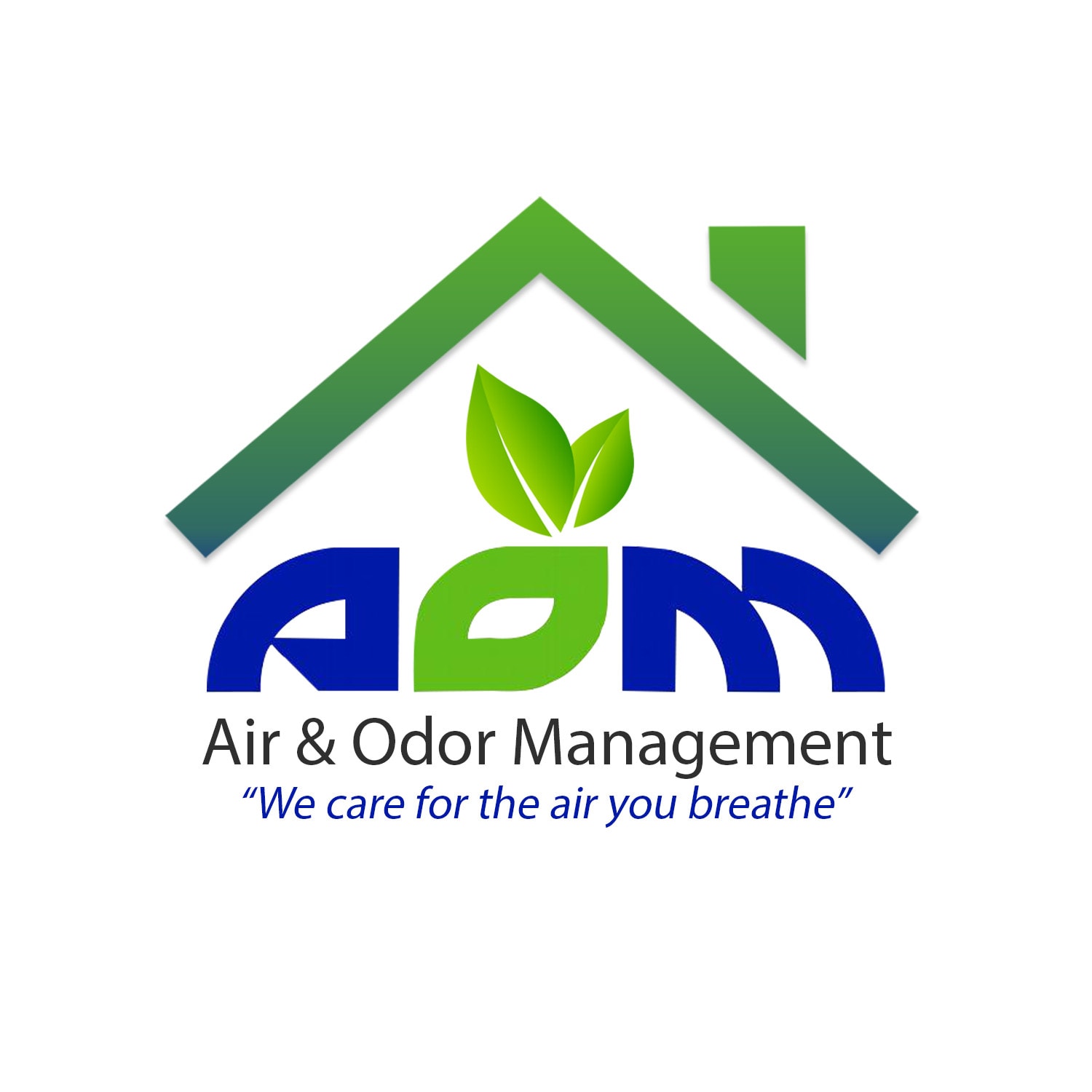 Best Mould Removal Singapore - Air & Odor Management