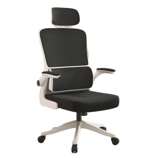 OMRI S168 High-back Ergonomic Office Chair-review-singapore