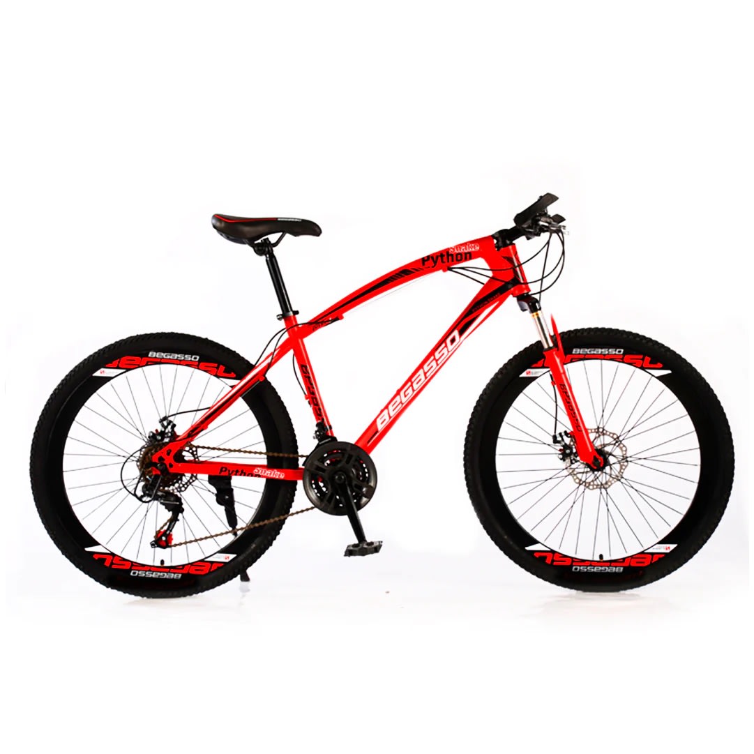 Best Begasso Python Mountain Bike Price & Reviews in Singapore 2024