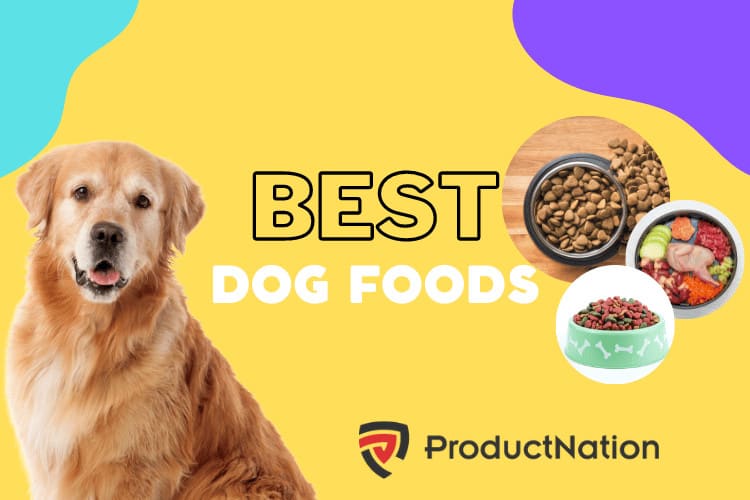 10 Best Dog Foods in Singapore 2024 Reviews
