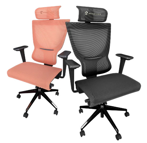 Best ErgoTune Supreme V2.1 Ergonomic Office Chair Price & Reviews in Singapore 2024