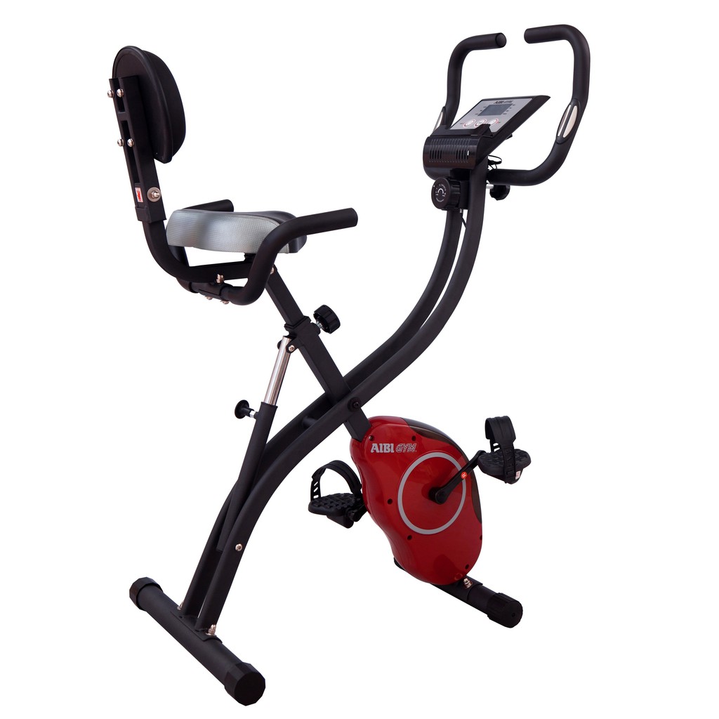 Aibi gym deals bike