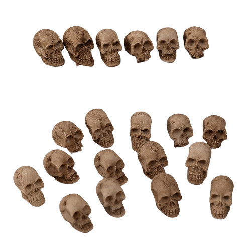 Mini Simulated Skull Heads