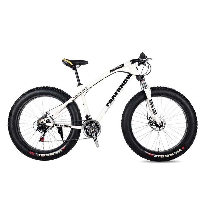 Foreknow Fat Bike-review-singapore