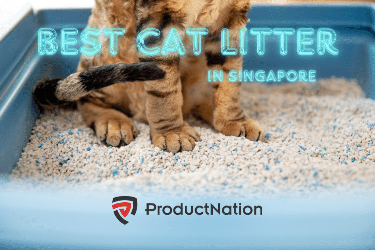best cat litter.png