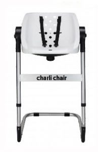Best baby chair for shower
