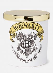 Best gift basket idea for Harry Potter fans