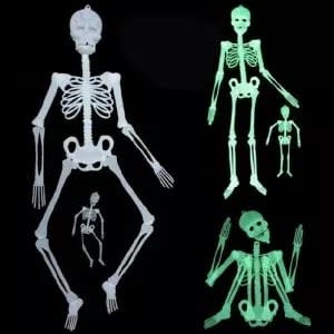 Best Halloween skeleton decor