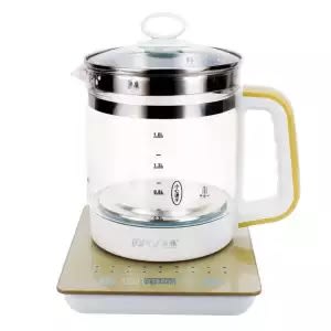 Best electric kettle with timer for heating milk