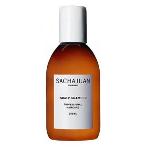 Best shampoo for oily scalp with dry ends