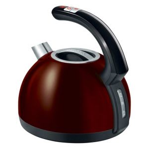 best quick boil kettle