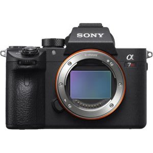 Highest megapixel high-end mirrorless camera for professionals