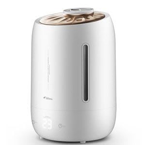 Humidifier for dry sinuses