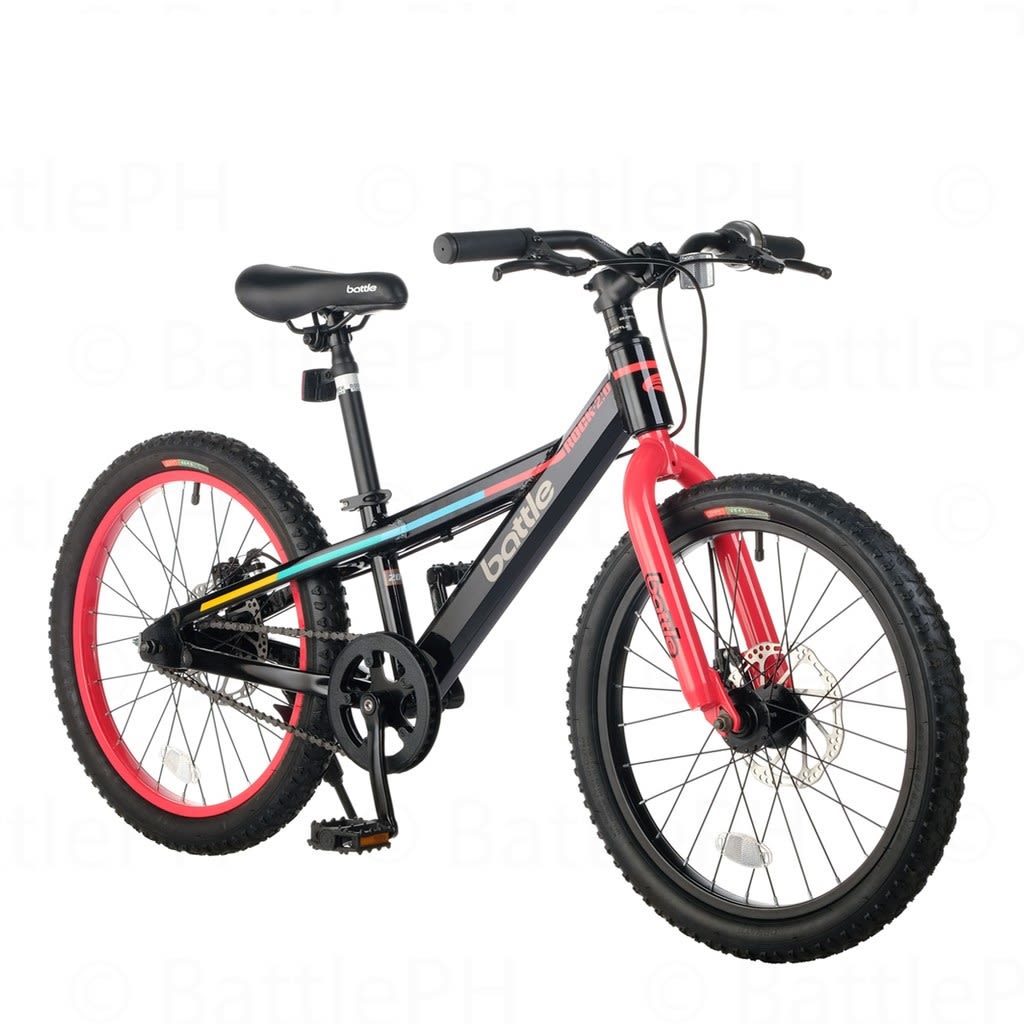 alloy bike price