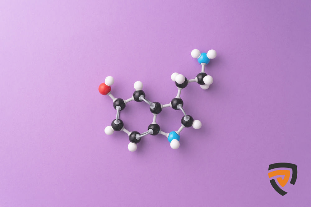 15 Best Antifungal Creams in Philippines 2023 Top Products