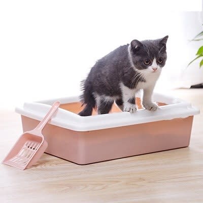 [IVAN Puppy Union]Cat Kitten Litter Box w Scoop
