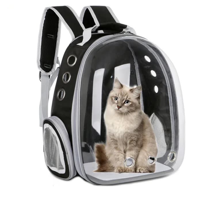 Cat Backpack Capsule
