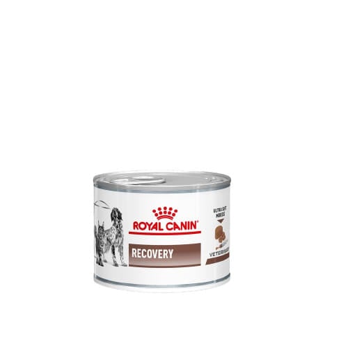 Royal Canin Veterinary Diet RECOVERY Dog Food