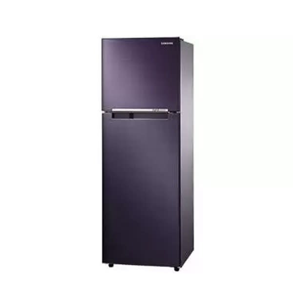 Samsung RT25FARBDUT Inverter Refrigerator