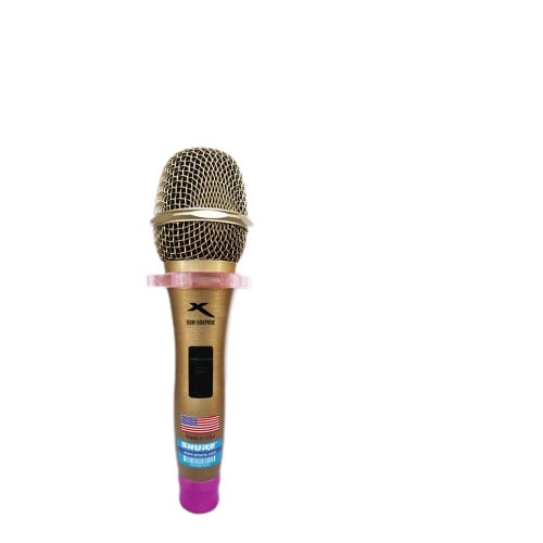 X-SERIES High-End Dynamic Karaoke Microphone