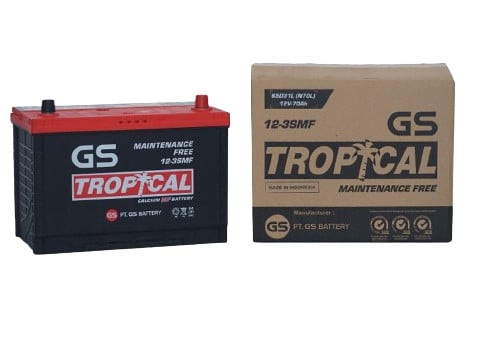 GS Battery NS40 Tropical Car Battery