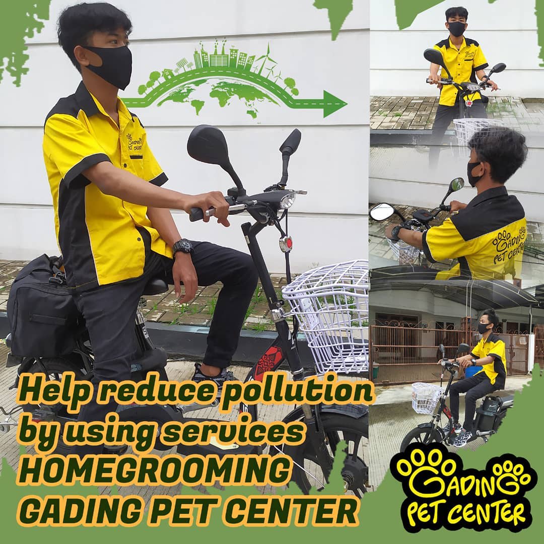 gading-pet-center-harga-review-ulasan-terbaik-di-indonesia-2023