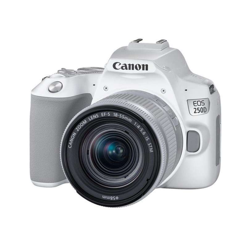Canon EOS 250D-1