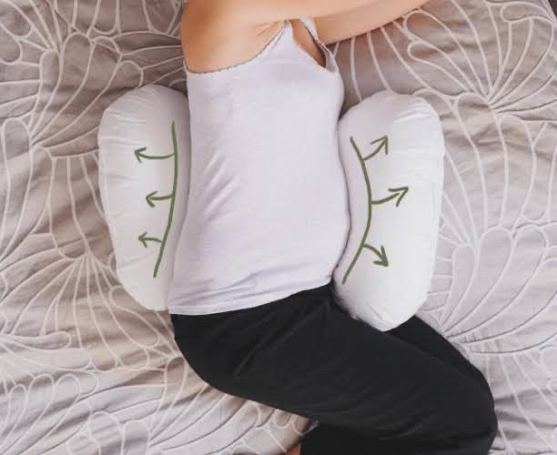 Dunlopillo Butterfly Maternity Pillow Harga & Review / Ulasan Terbaik