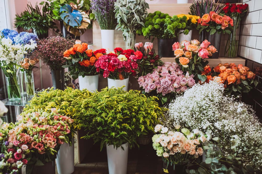 แนะนำ 10 ร้านดอกไม้ พร้อมบริการจัดส่งรวดเร็ว ทันใจ - ทั่วไทย
