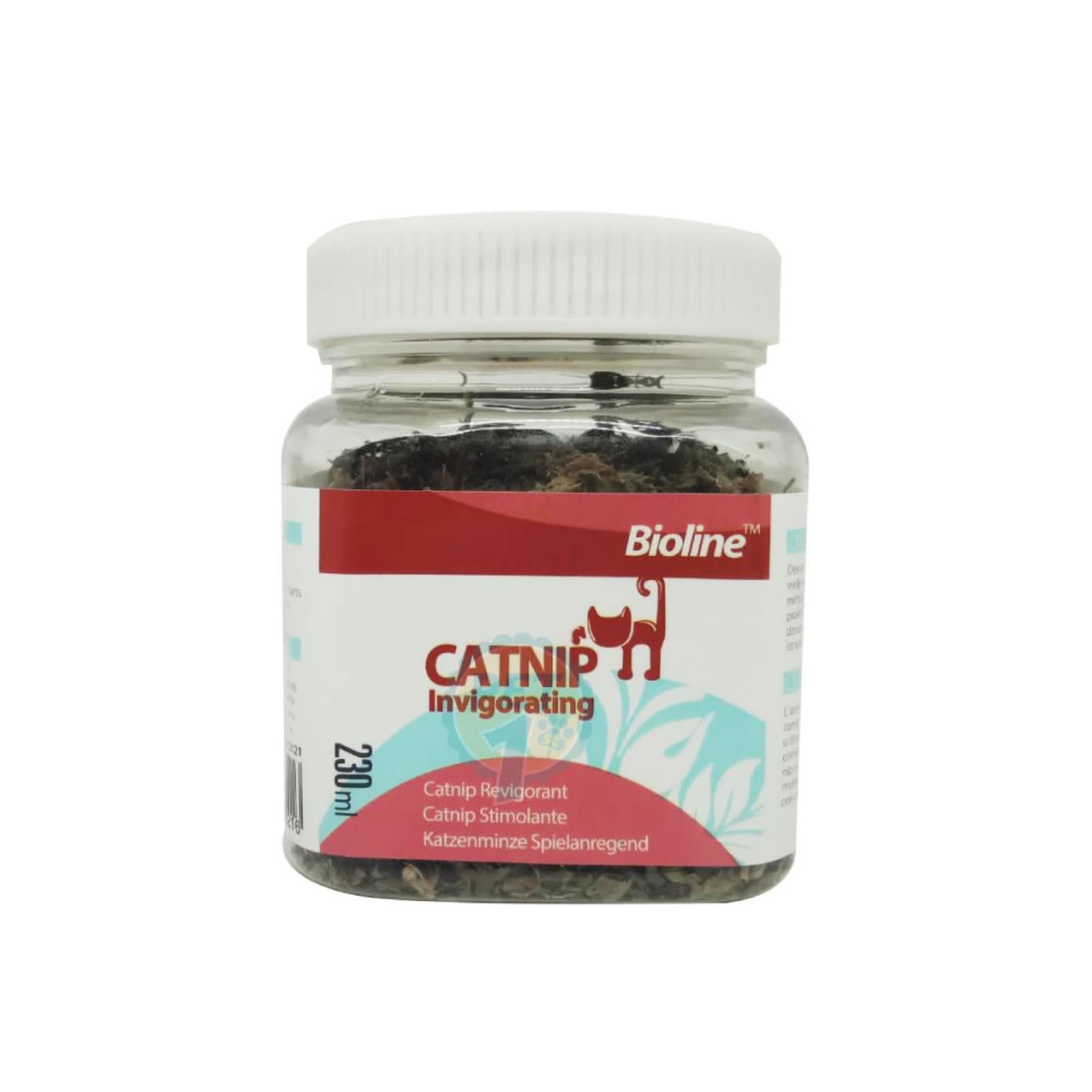 กัญชาแมว bioline Catnip_1
