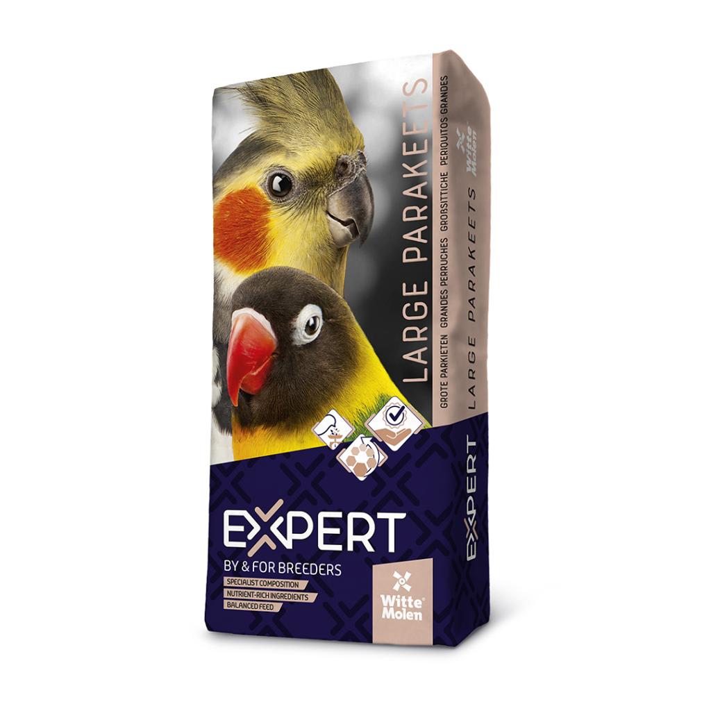 EXPERT LARGE PARAKEETS-review-thailand