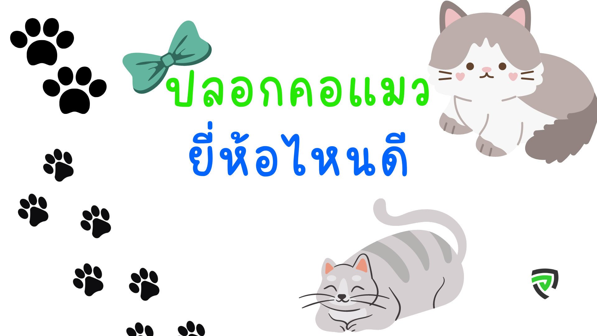 10 ปลอกคอแมว ยี่ห้อไหนดี ใส่สบาย โดดเด่น น่ารัก สำหรับน้องแมว-cover