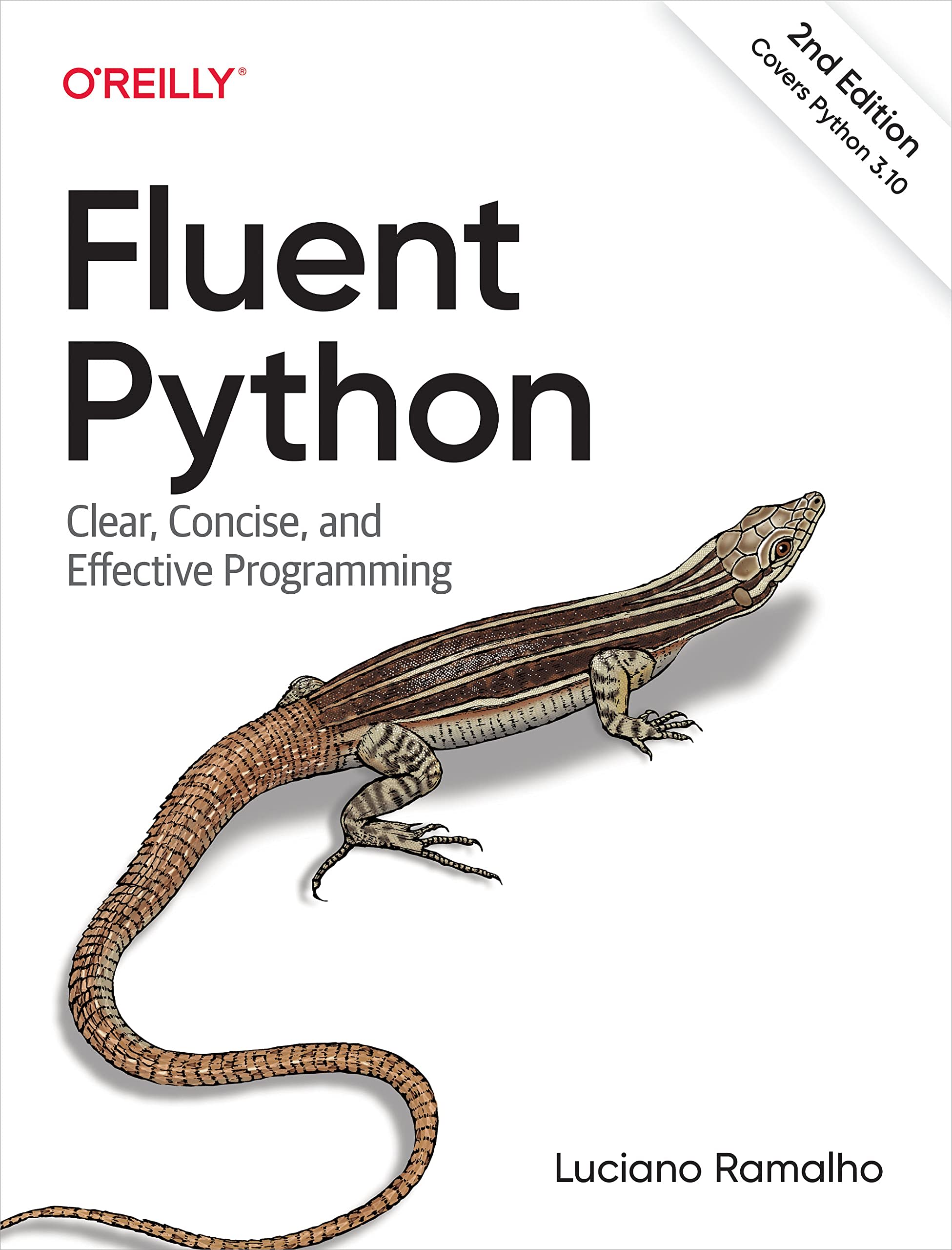 Fluent Python-review-thailand