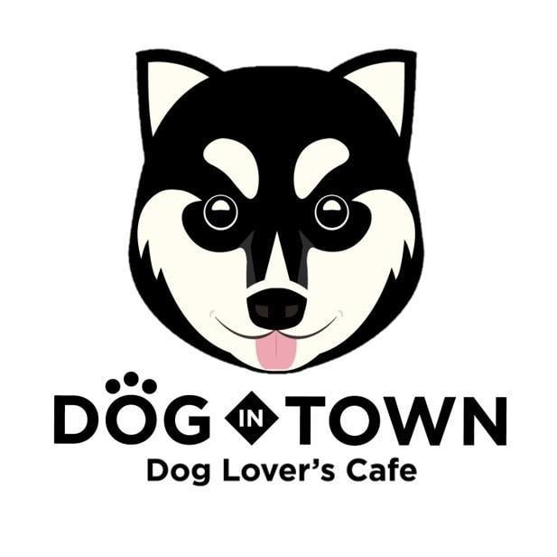 Dog in Town Ari-review-thailand