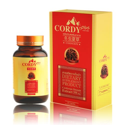 Cordy Plus Cordyceps Sinensis Extract-review-thailand