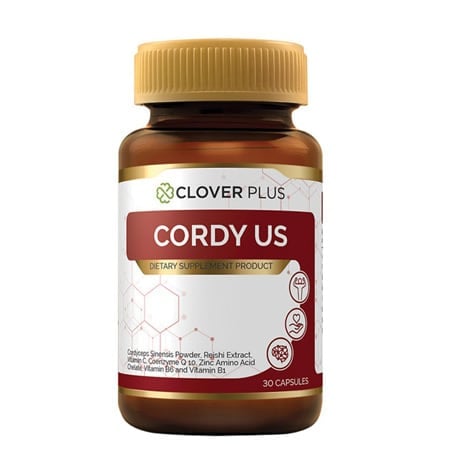 Clover Plus Cordy US-review-thailand