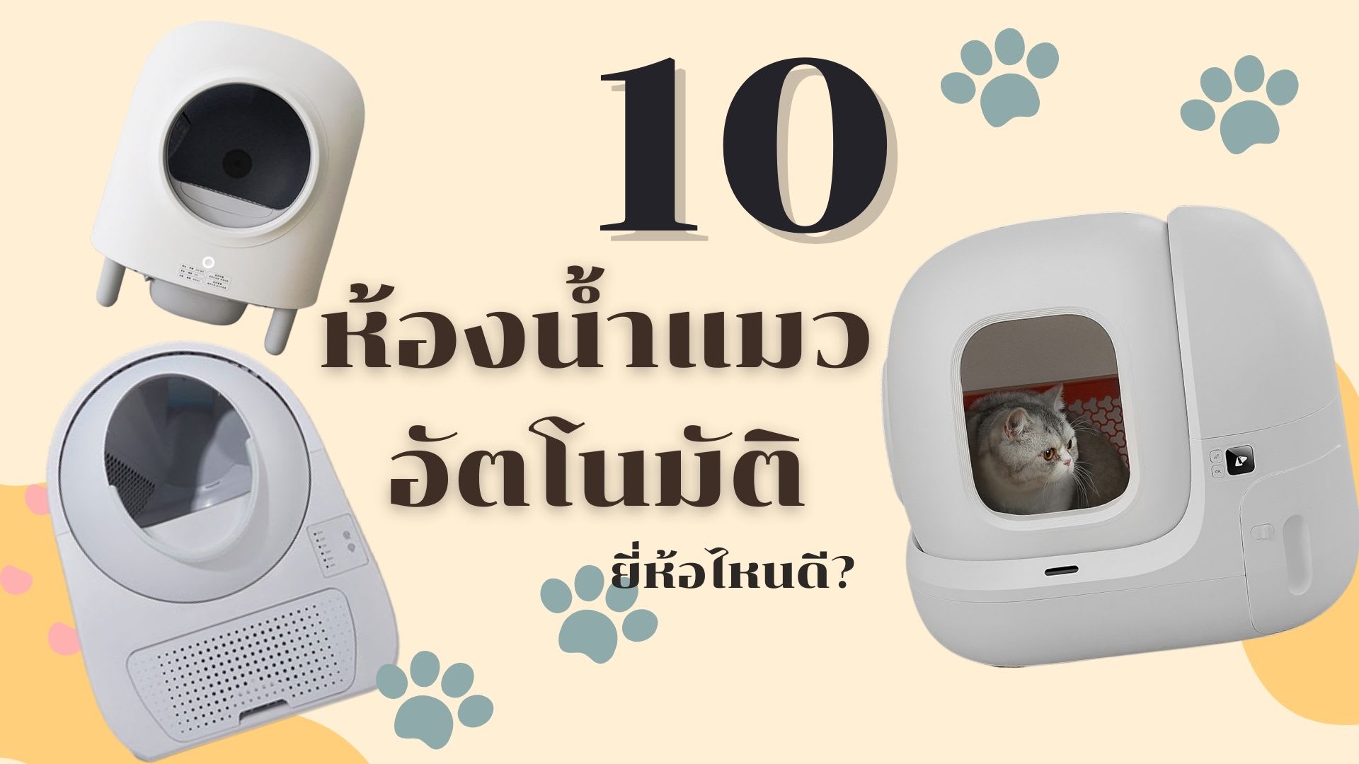 ห้องน้ำแมวอัตโนมัติ ยี่ห้อไหนดี-cover