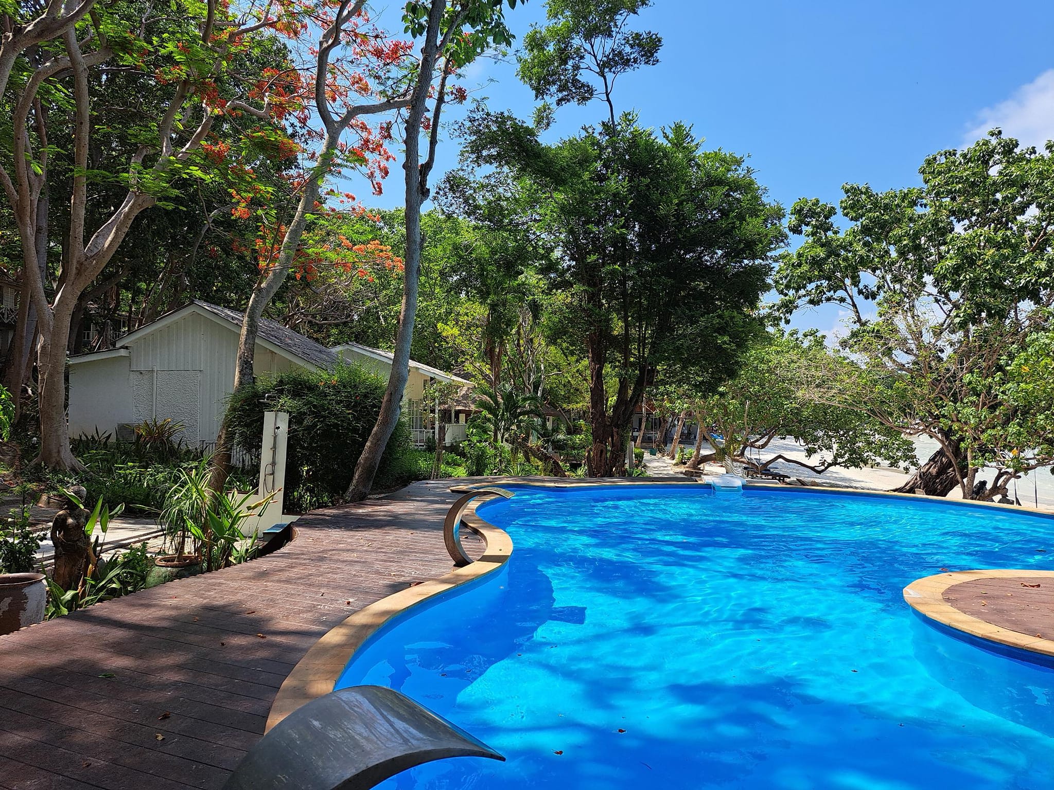 ที่พักเกาะเสม็ด The C Samet Beach Resort