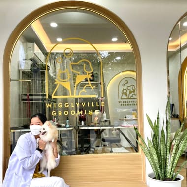 วิกกี้วิลล์ กรูมมิ่ง Wigglyville Grooming